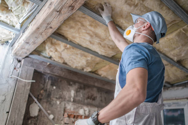 Best Insulation Maintenance and Repair in Augusta, KS